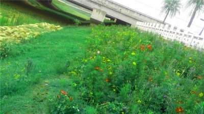 河南鄭州新港區生態混凝土